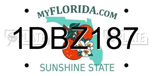 1DBZ187 Florida License Plate