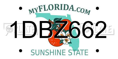 1DBZ662 Florida License Plate