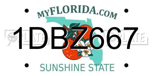 1DBZ667 Florida License Plate