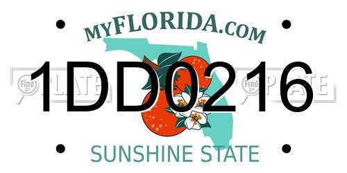 1DD0216 Florida License Plate