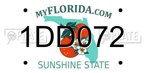 1DD072 Florida License Plate