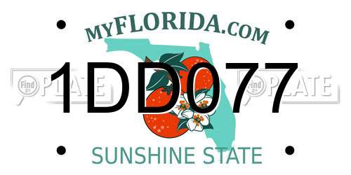 1DD077 Florida License Plate