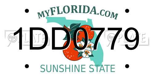 1DD0779 Florida License Plate