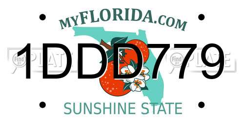 1DDD779 Florida License Plate