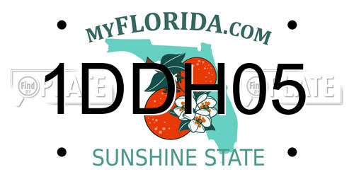 1DDH05 Florida License Plate