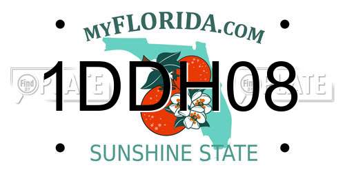 1DDH08 Florida License Plate