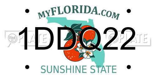 1DDQ22 Florida License Plate
