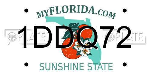 1DDQ72 Florida License Plate