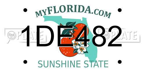 1DE482 Florida License Plate