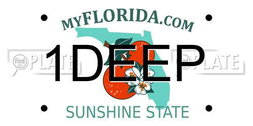 1DEEP Florida License Plate