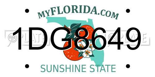1DG8649 Florida License Plate