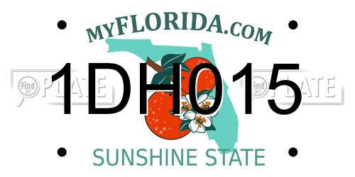 1DH015 Florida License Plate