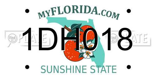 1DH018 Florida License Plate
