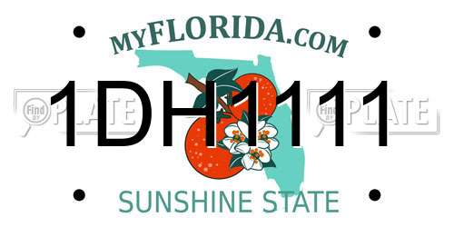 1DH1111 Florida License Plate