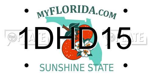 1DHD15 Florida License Plate