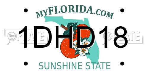 1DHD18 Florida License Plate