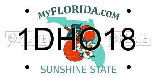 1DHO18 Florida License Plate