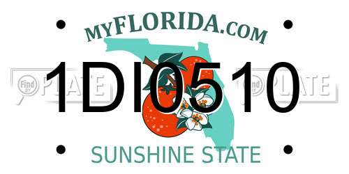 1DI0510 Florida License Plate