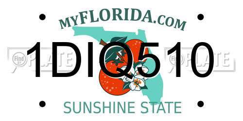1DIQ510 Florida License Plate