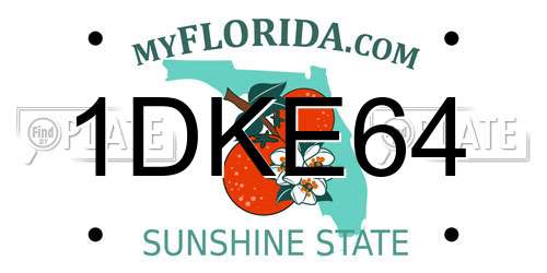 1DKE64 Florida License Plate
