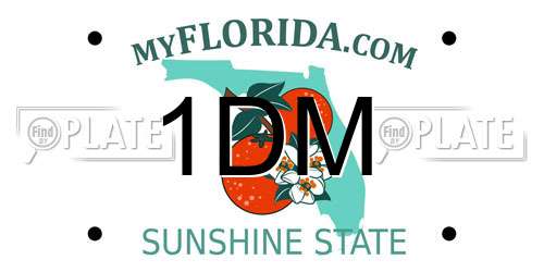 1DM Florida License Plate