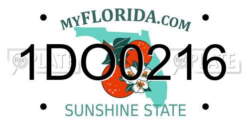 1DO0216 Florida License Plate