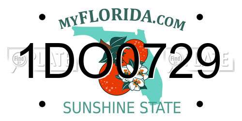 1DO0729 Florida License Plate