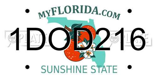 1DOD216 Florida License Plate
