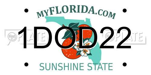 1DOD22 Florida License Plate