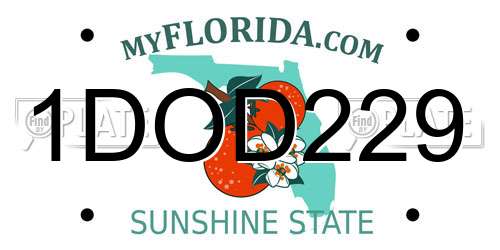 1DOD229 Florida License Plate