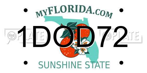 1DOD72 Florida License Plate