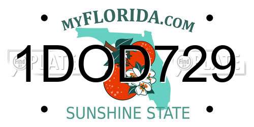 1DOD729 Florida License Plate