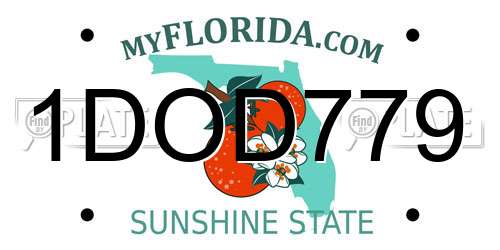1DOD779 Florida License Plate