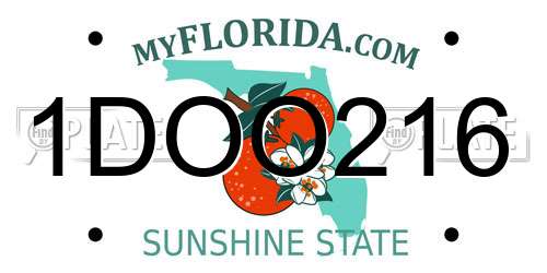 1DOO216 Florida License Plate