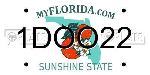 1DOO22 Florida License Plate