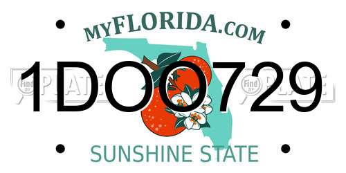 1DOO729 Florida License Plate