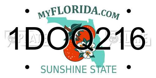 1DOQ216 Florida License Plate