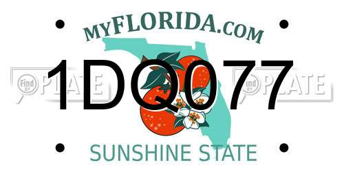 1DQ077 Florida License Plate