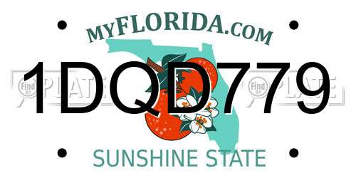 1DQD779 Florida License Plate