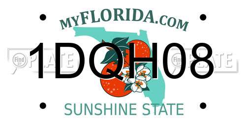 1DQH08 Florida License Plate