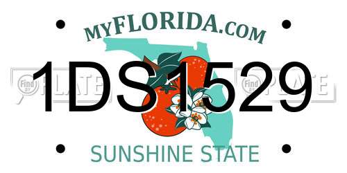 1DS1529 Florida License Plate