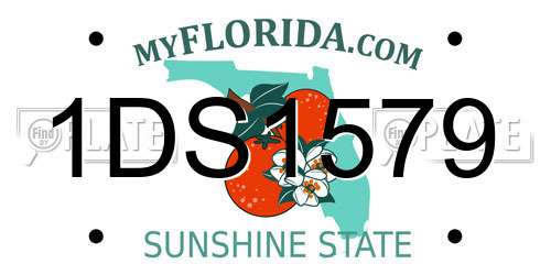 1DS1579 Florida License Plate