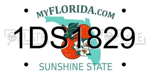 1DS1829 Florida License Plate