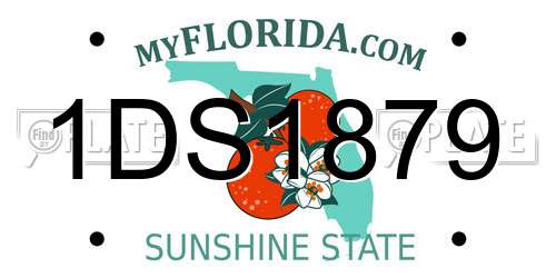 1DS1879 Florida License Plate