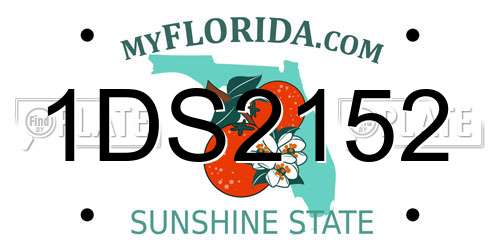 1DS2152 Florida License Plate