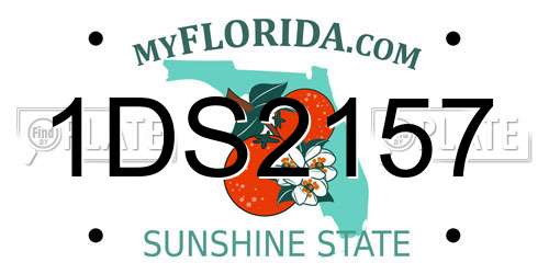 1DS2157 Florida License Plate