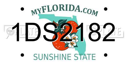 1DS2182 Florida License Plate