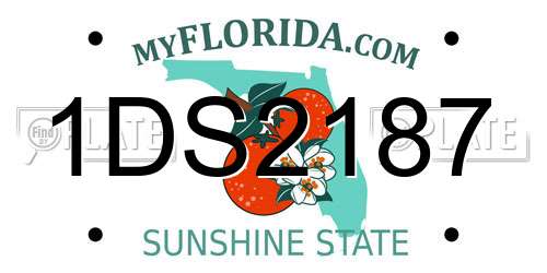 1DS2187 Florida License Plate