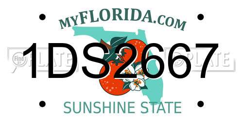 1DS2667 Florida License Plate