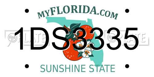 1DS3335 Florida License Plate